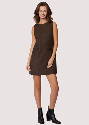 Delfina Mini Dress - Fall Brown Sleeveless Loose Fit