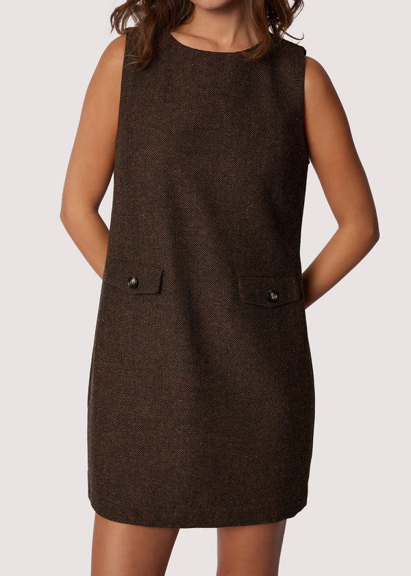 Delfina Mini Dress - Fall Brown Sleeveless Loose Fit