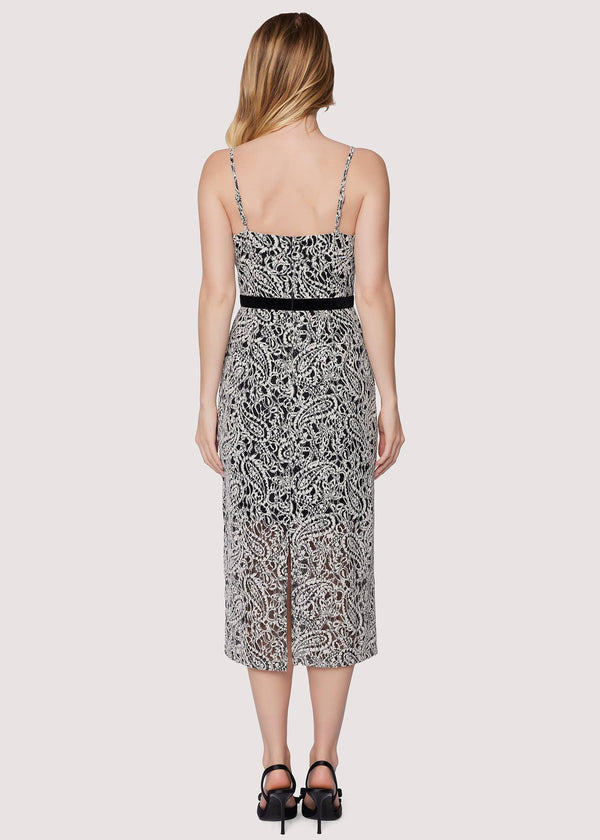 Mon Amour Midi Dress - Ivory Fall Paisley Lace Velvet Fit