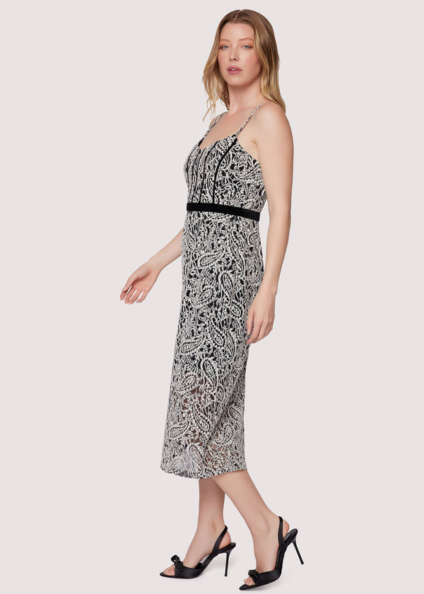 Mon Amour Midi Dress - Ivory Fall Paisley Lace Velvet Fit