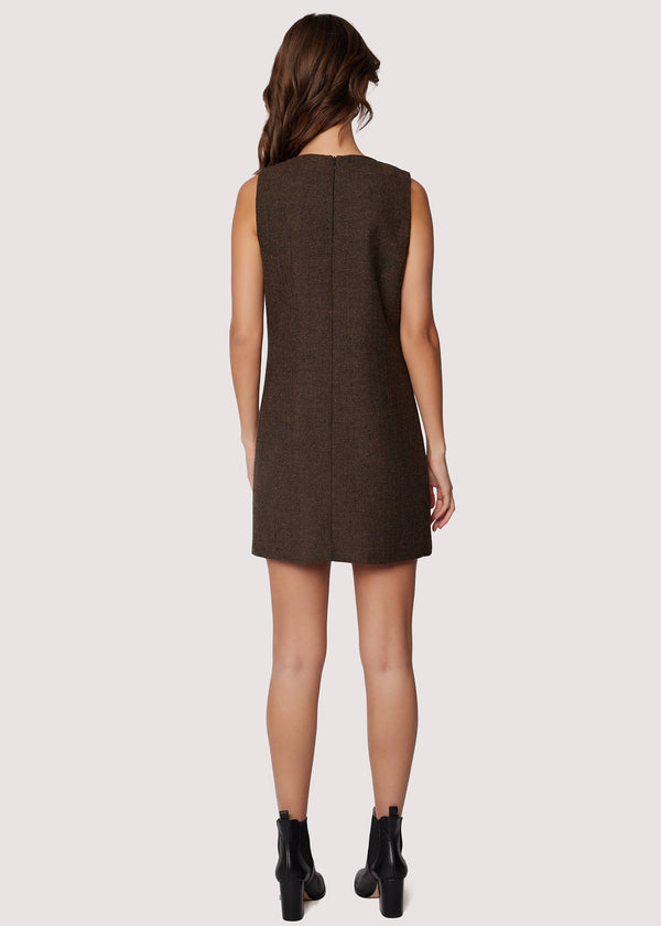 Delfina Mini Dress - Fall Brown Sleeveless Loose Fit